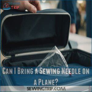 Can You Bring Embroidery Needles on a Plane? Discussing the Carry-On Guidelines