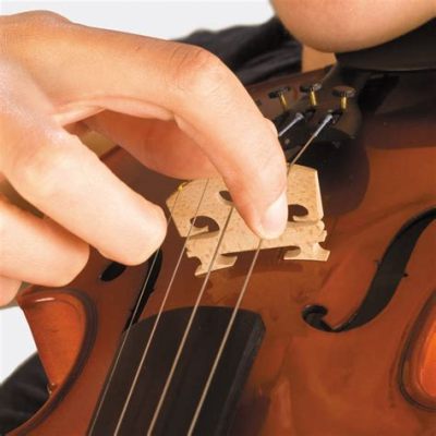 pizzicato meaning in music - Does the violin's pizzicato technique influence the evolution of classical music?